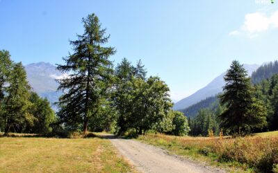 [Après travaux] Ligne HTA Valloire – Valmeinier, la piste forestière est un billard