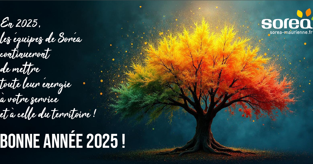 Bonne année 2025 !